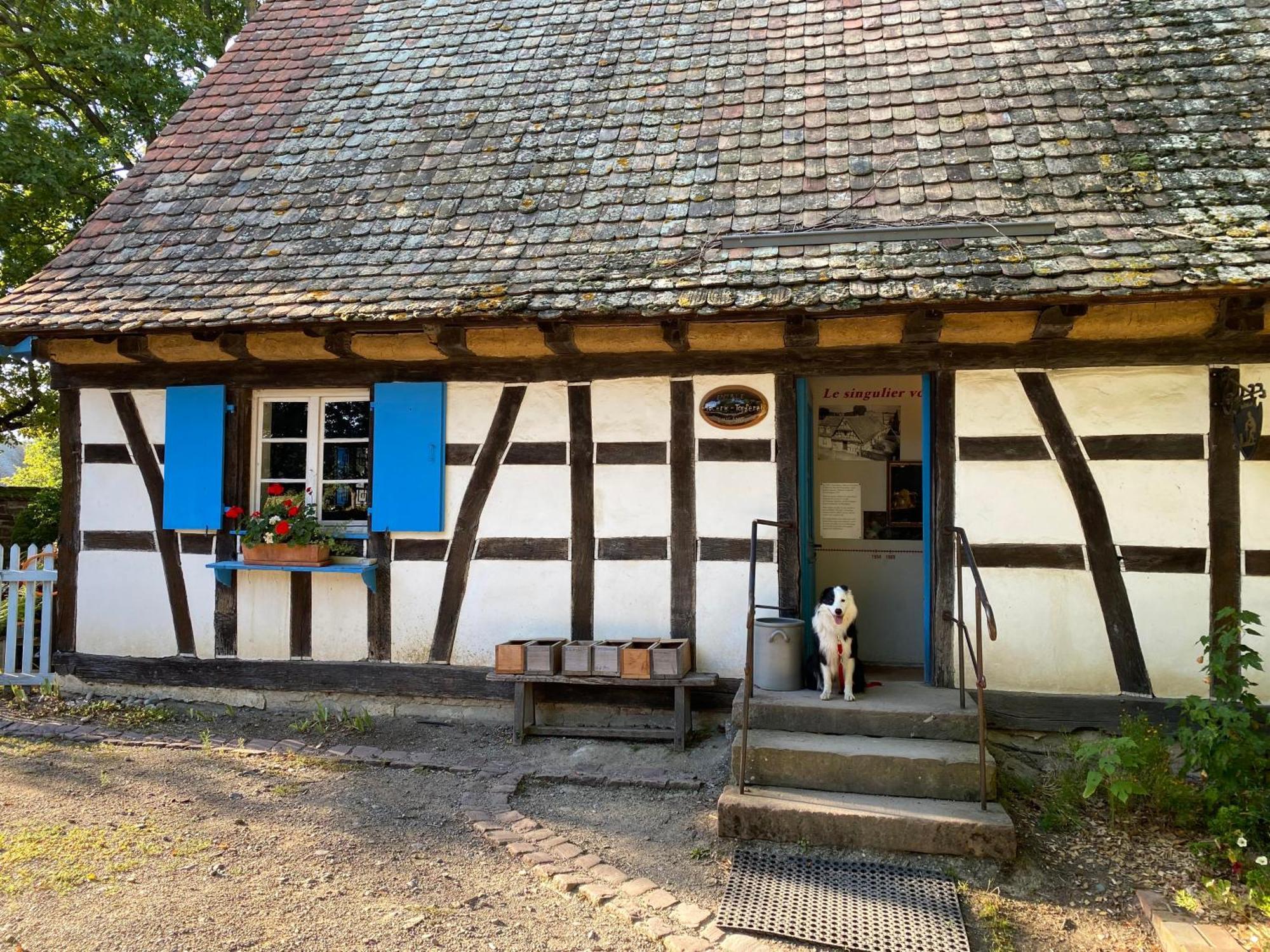 Chambres D'Hotes Des Cascades St-Nicolas Kruth Exterior foto