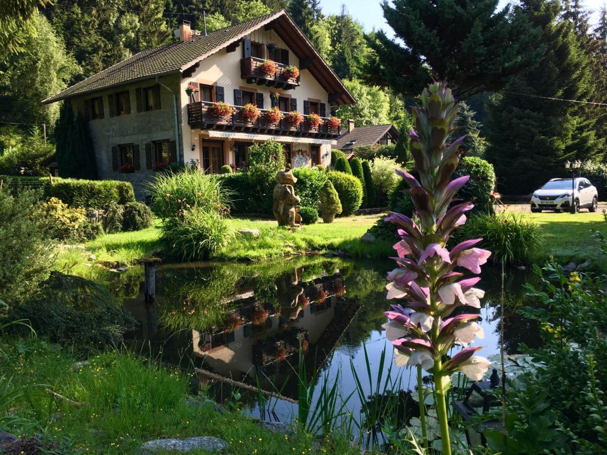 Chambres D'Hotes Des Cascades St-Nicolas Kruth Exterior foto